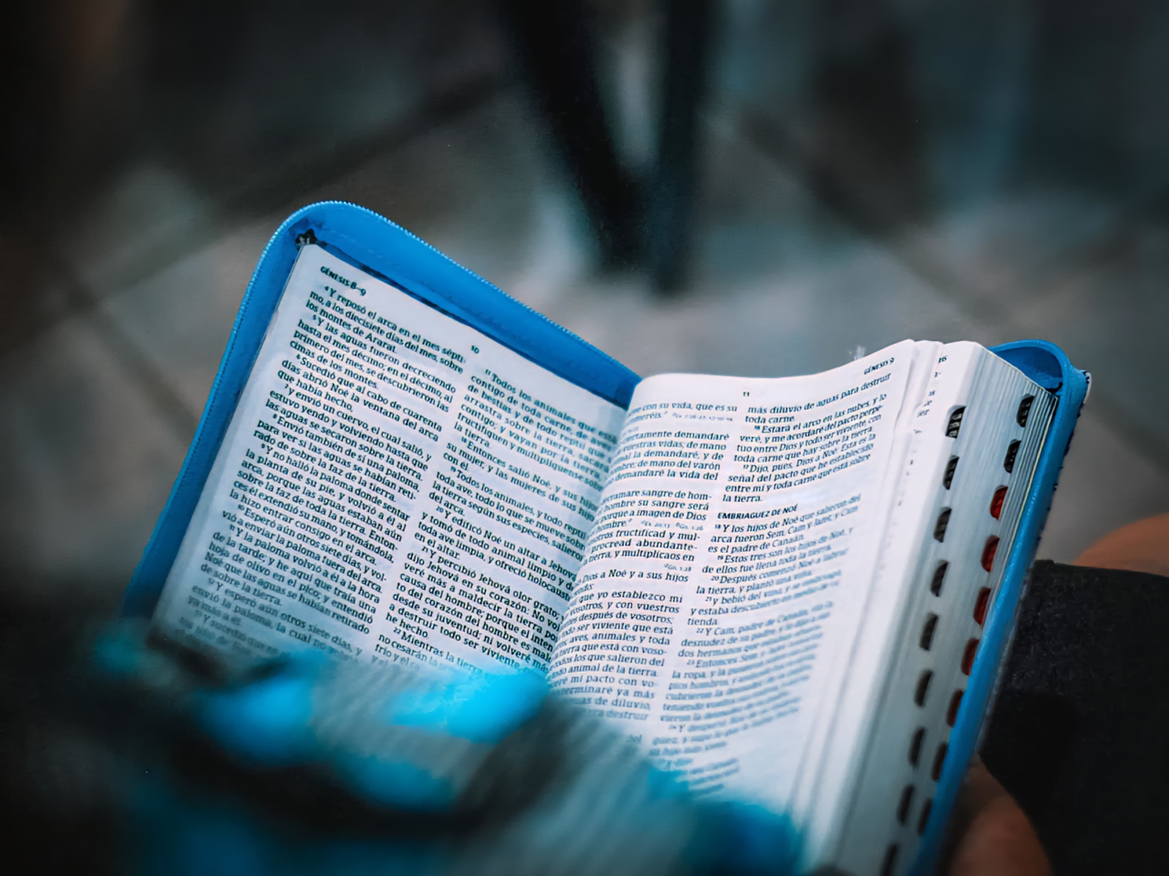 Servicio de Estudio service